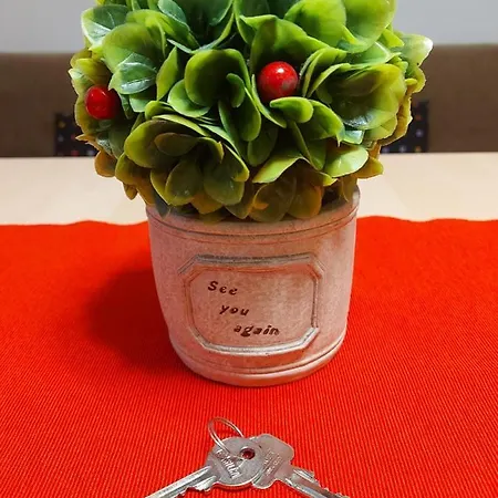 公寓 Angie's House 沃洛斯